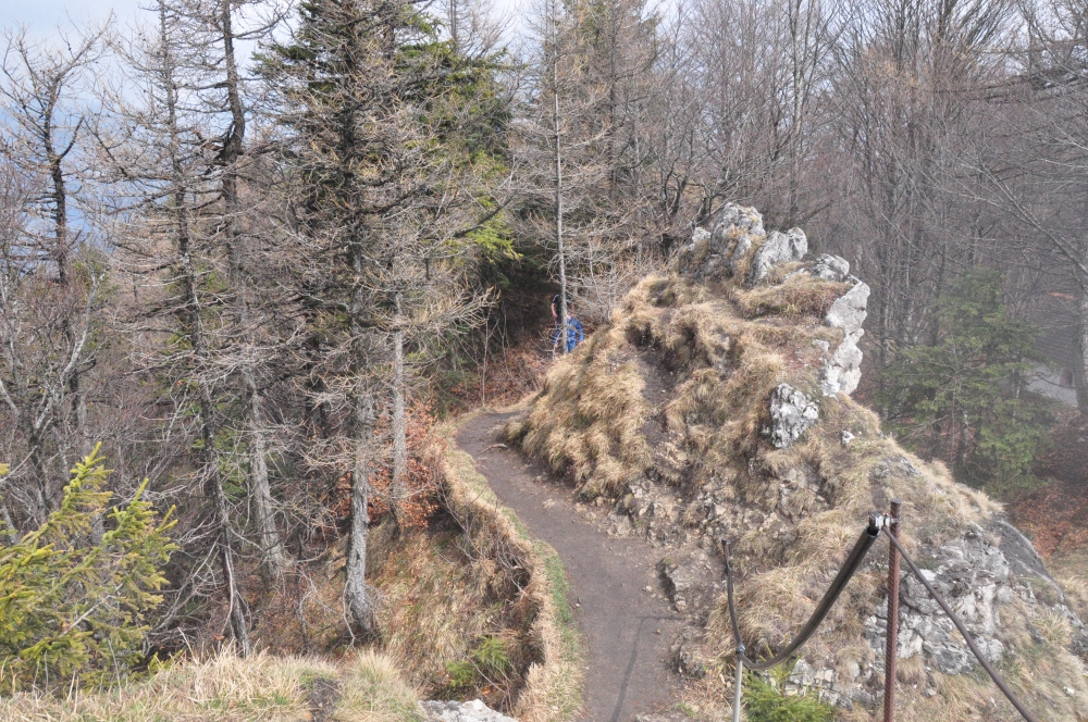 Wanderung Kranzhorn: Wanderung Kranzhorn: Die Schlüsselstelle 10m vor den Gipfelkreuzen (Kranzhorn)