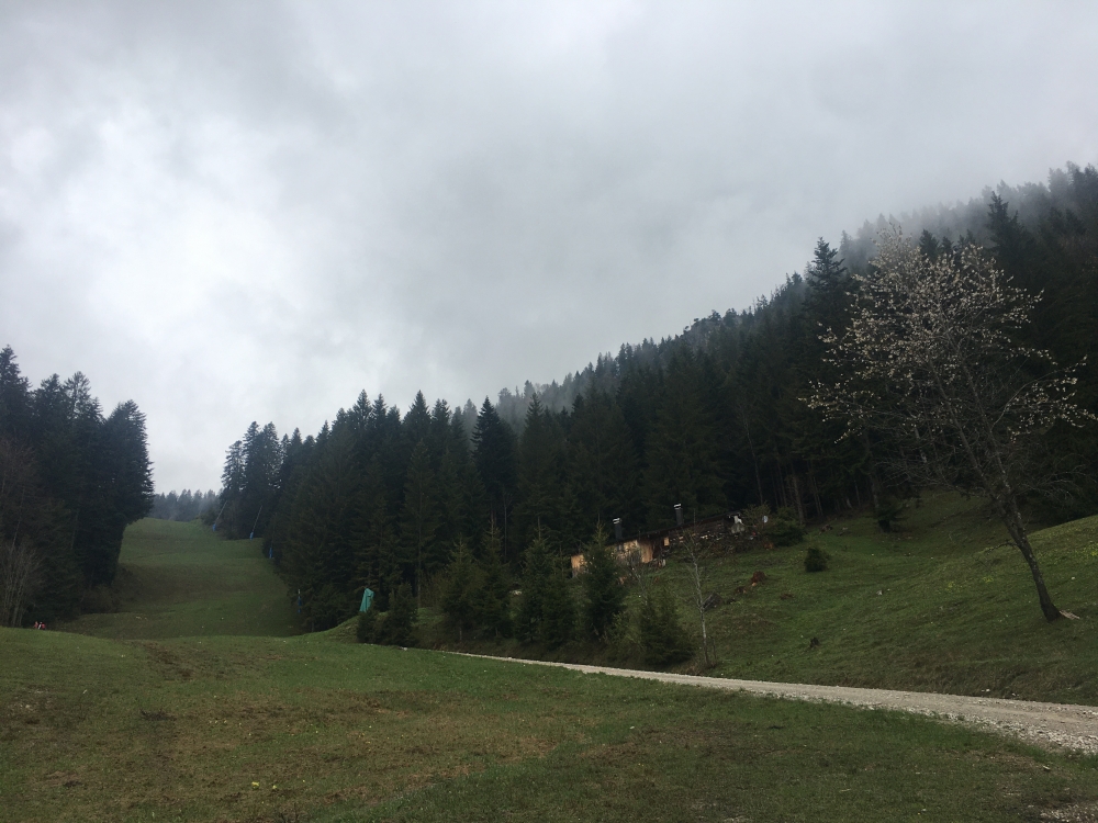 Kreinbauernalm: Kreinbauernalm