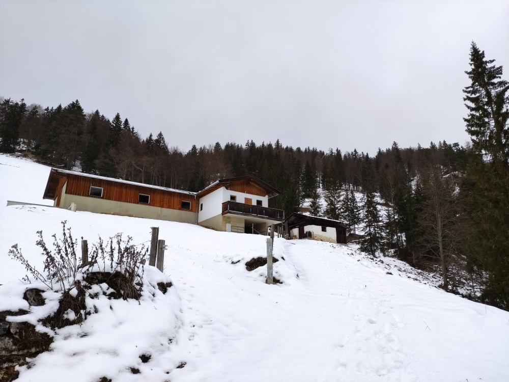 Wanderung Heuberg, Plessenberg und Kienberg: Wanderung Heuberg, Plessenberg und Kienberg: Kreuthalm