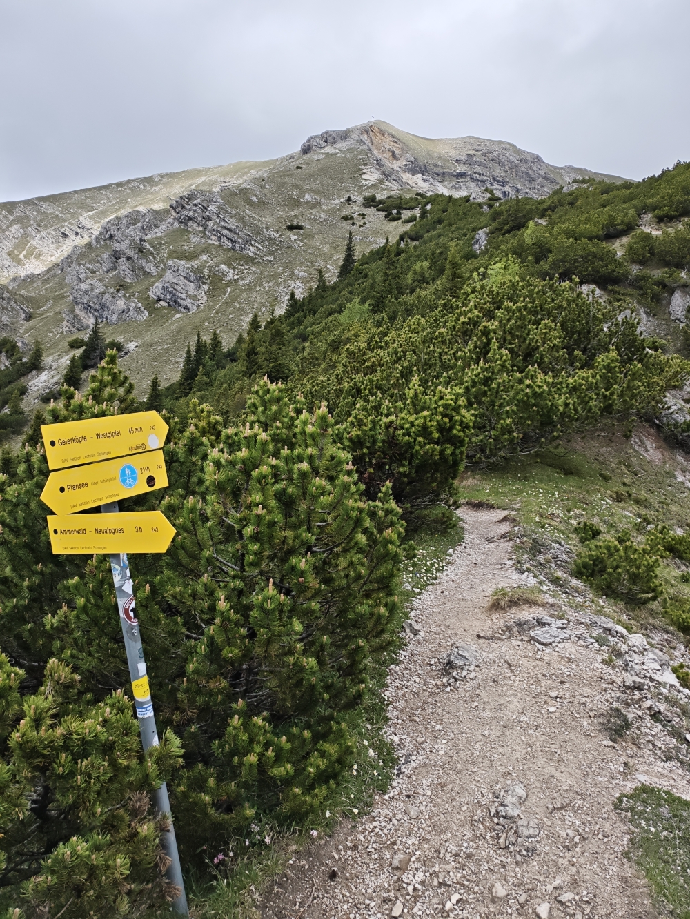 Wanderung Geierköpfe-Hauptgipfel: Wanderung Geierköpfe-Hauptgipfel: Kreuzjöchl
