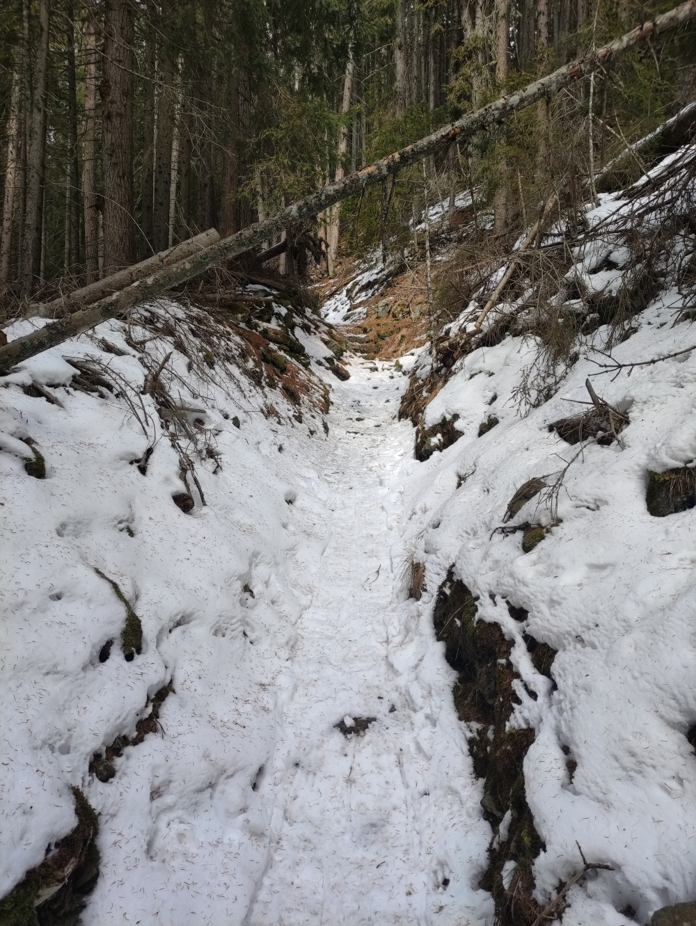 Wanderung Kreuzwiesen Alm: Alte Wege