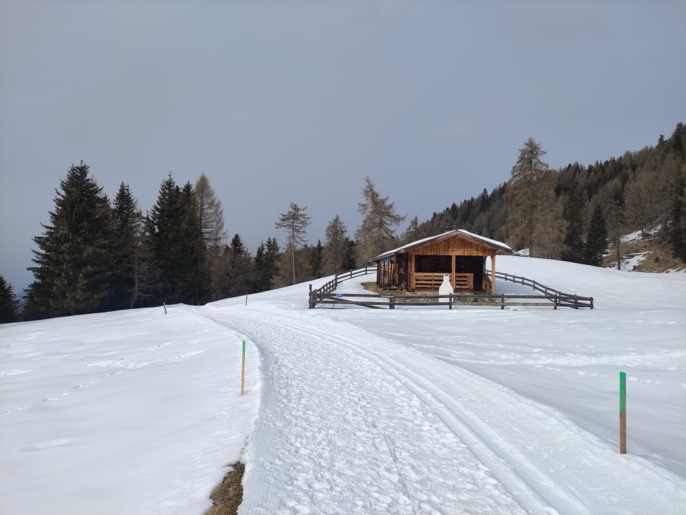 Wanderung Kreuzwiesen Alm: Lüsner Almen Weg