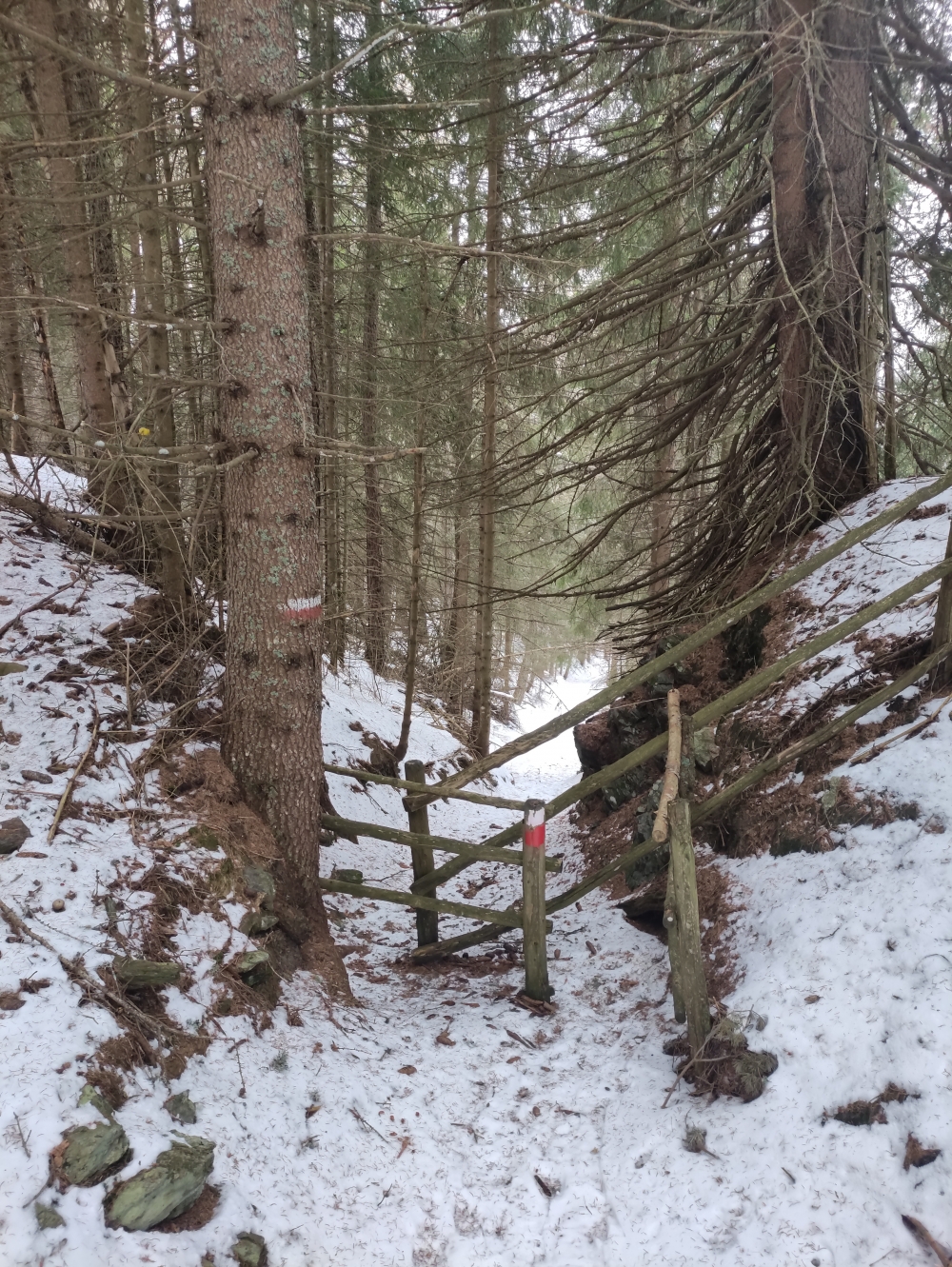 Wanderung Kreuzwiesen Alm: Steiler Abstieg