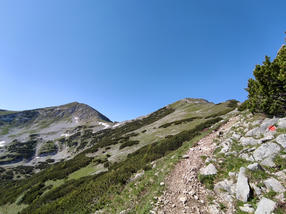 Wanderung Große Krottenkopf-Runde: Weg zur Weilheimer Hütte (Bildmitte im Sattel)