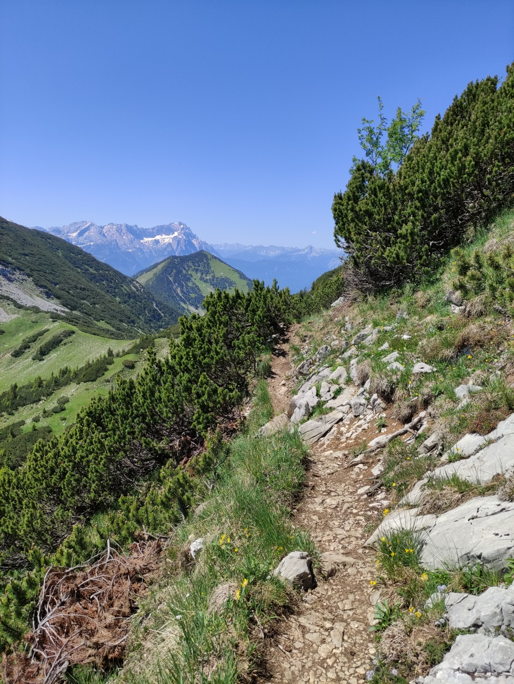 Wanderung Große Krottenkopf-Runde: Zum Sattel unter dem Bischof