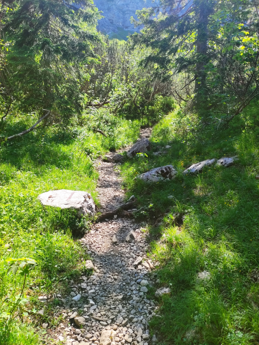 Wanderung Hohe Kisten: Weg durch das Pustertal