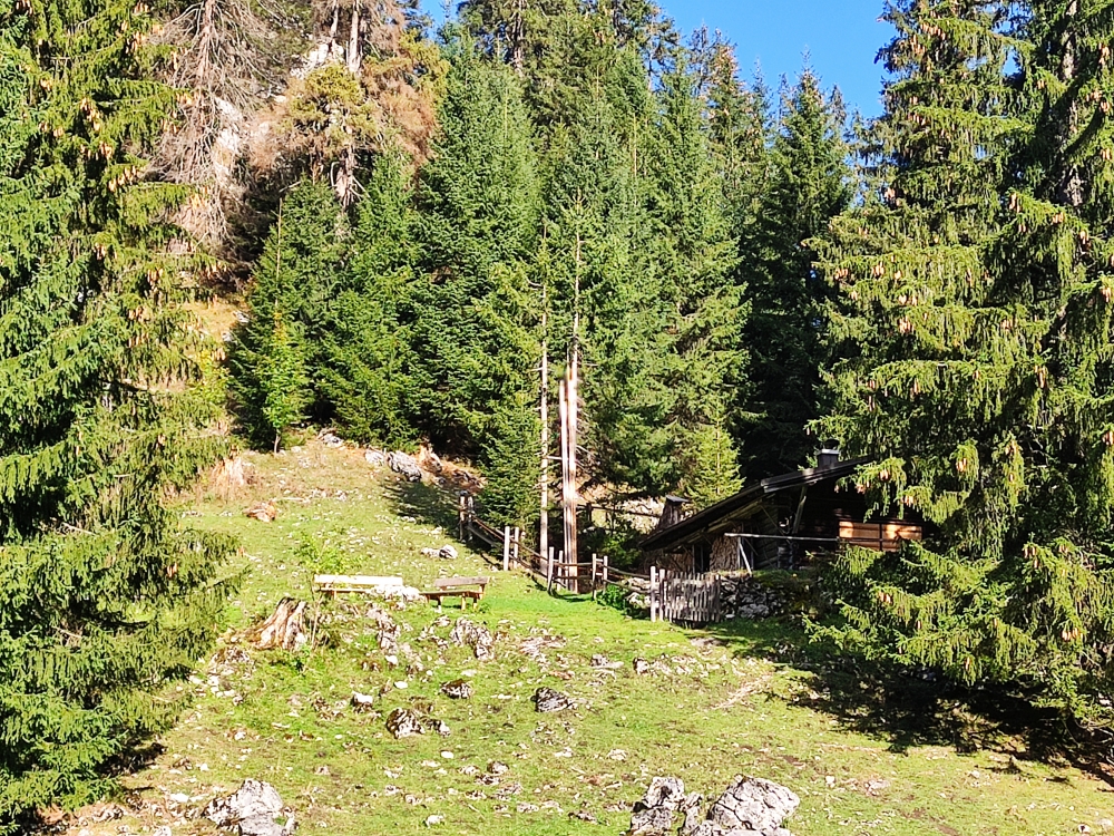 Wanderung Schartenkopf: Wanderung Schartenkopf: Laberalm (Laber-Alm)