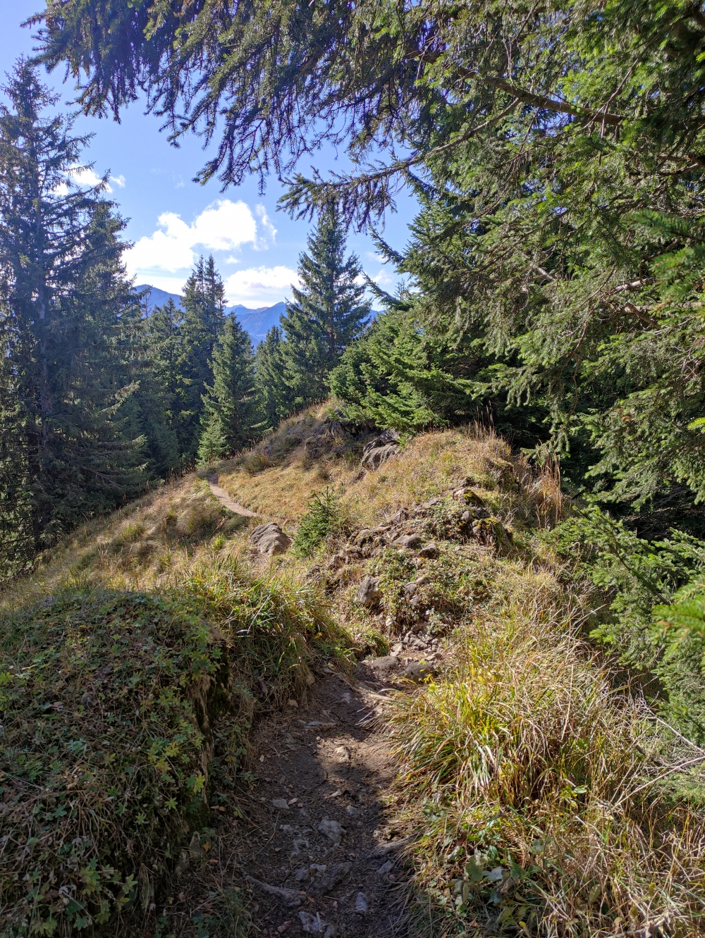 Wanderung Schartenkopf: Wanderung Schartenkopf: Der Weg führt unauffällig über den Gipfel (Laber Hauptgipfel)