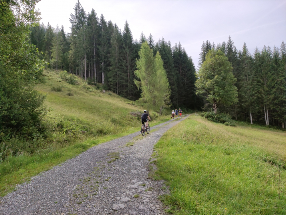 Bike & Hike Lackenalm: Auffahrt auf Forststraße (nur ca. 40m sind Schiebestrecke)