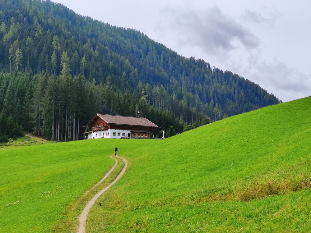 Bike & Hike Lackenalm: Kurz vor dem Sattelbauer