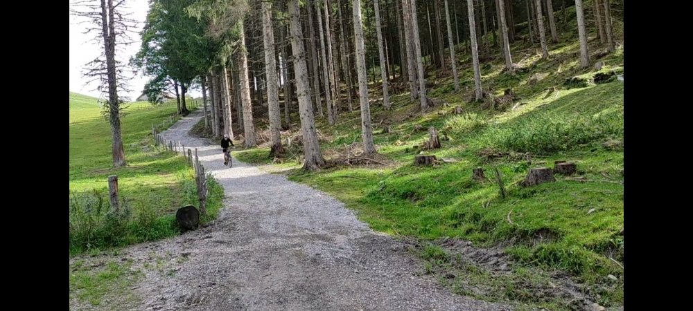 Bike & Hike Lackenalm: Abfahrt neben der Teerstraße