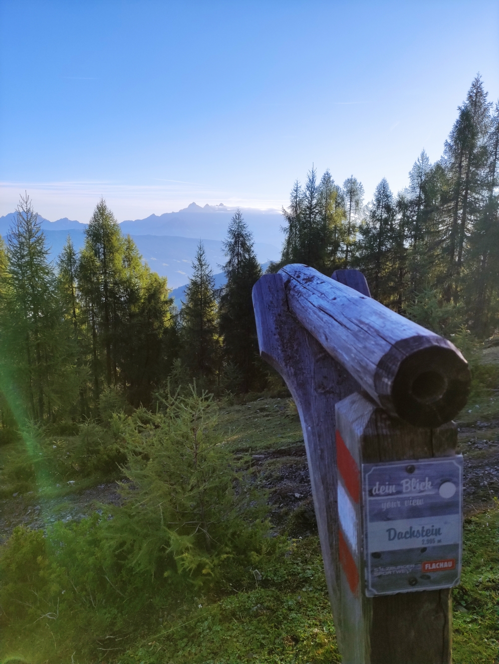 Wanderung Lackenkogel: Dachstein-Blick