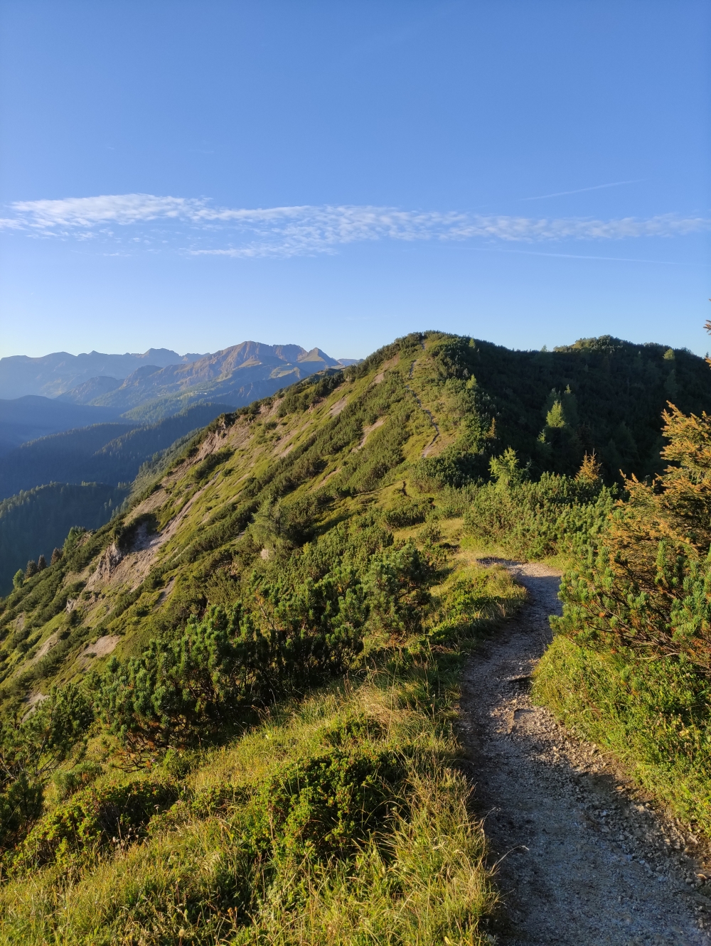 Wanderung Lackenkogel: Weg