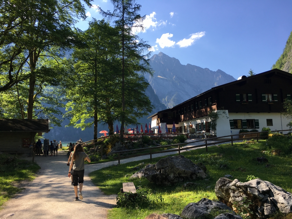 Wanderung Lafeldkopf: Wanderung Lafeldkopf: Saletalm (Alpengaststätte Saletalm)