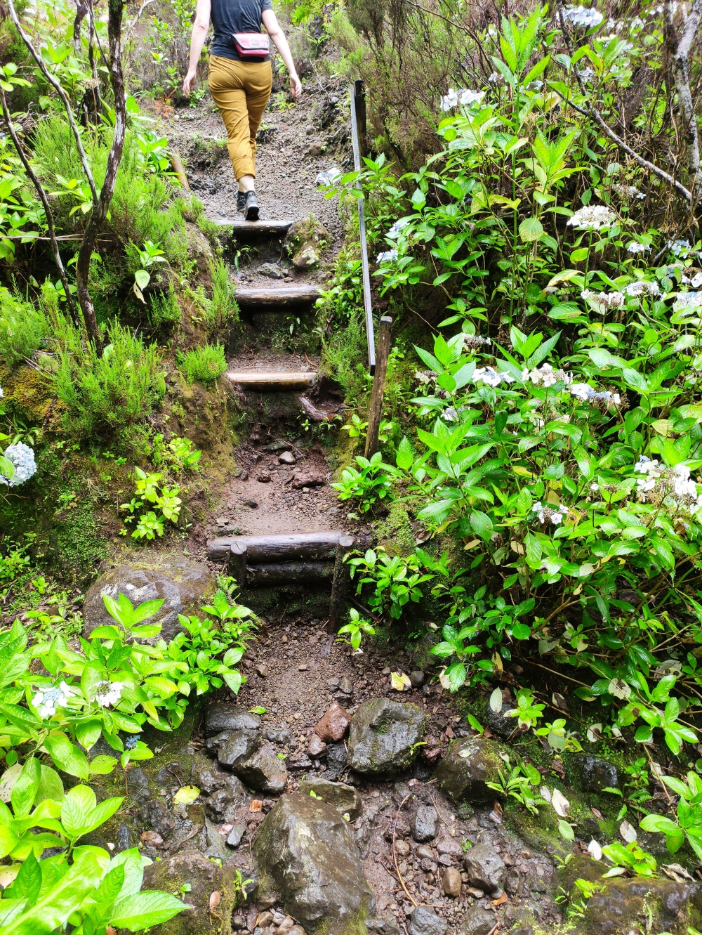 Wanderung Lagoinha: Markierte und gepflegte Wege