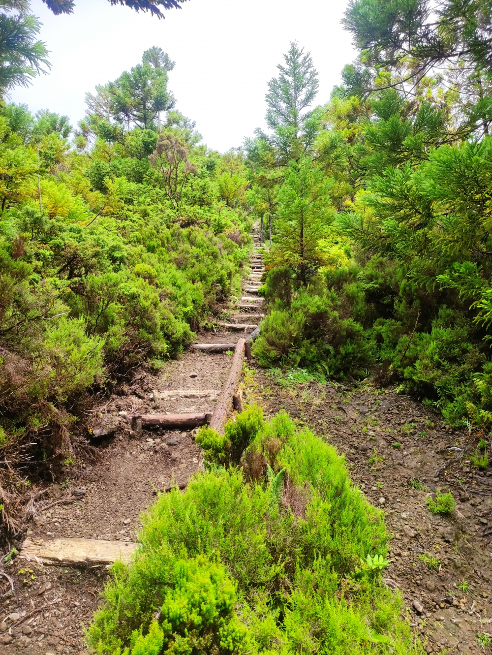 Wanderung Lagoinha: Viele Stufen neben der Schlucht