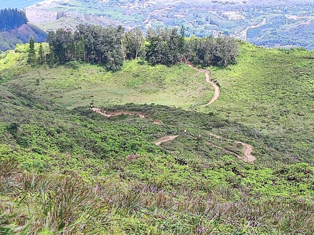 Wanderung Waihee Ridge Trail: Waihee Ridge Trail