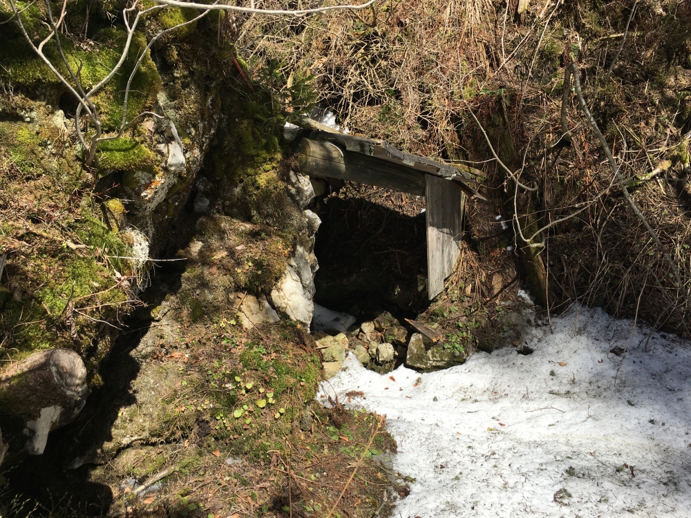 Wanderung Zellerwand: Wanderung Zellerwand: Der überdachte Eingang (Laubensteinponorhöhle)