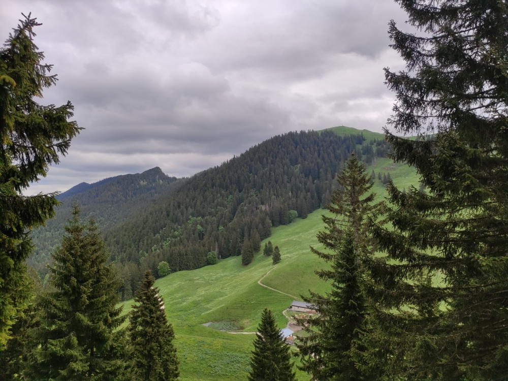 Wanderung Grasleitenkopf: Blick zum Seekarkreuz (rechts) und Spitzkamp