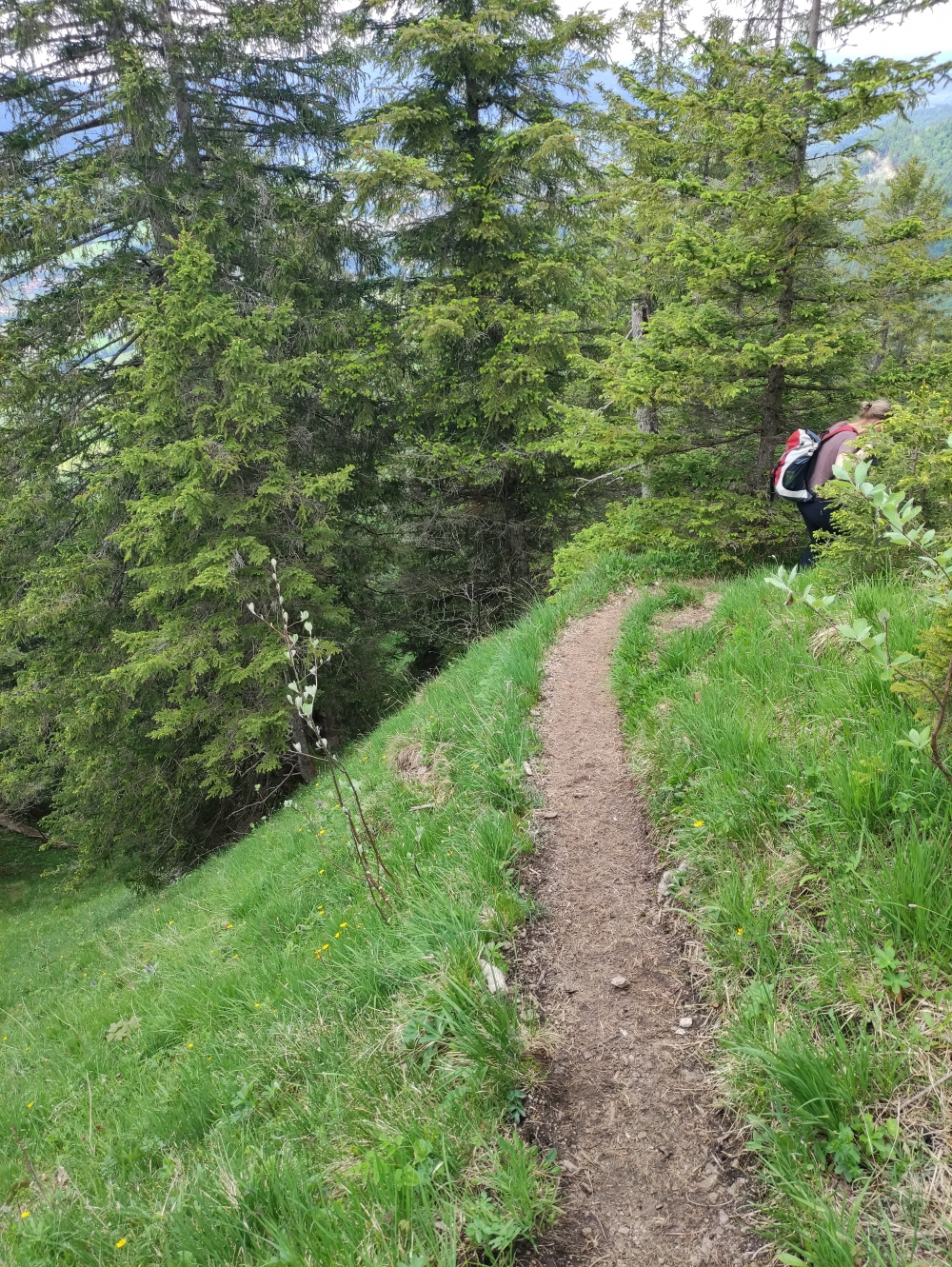 Wanderparkplatz Höhenreuth -> Grasleitenstein: Wanderweg
