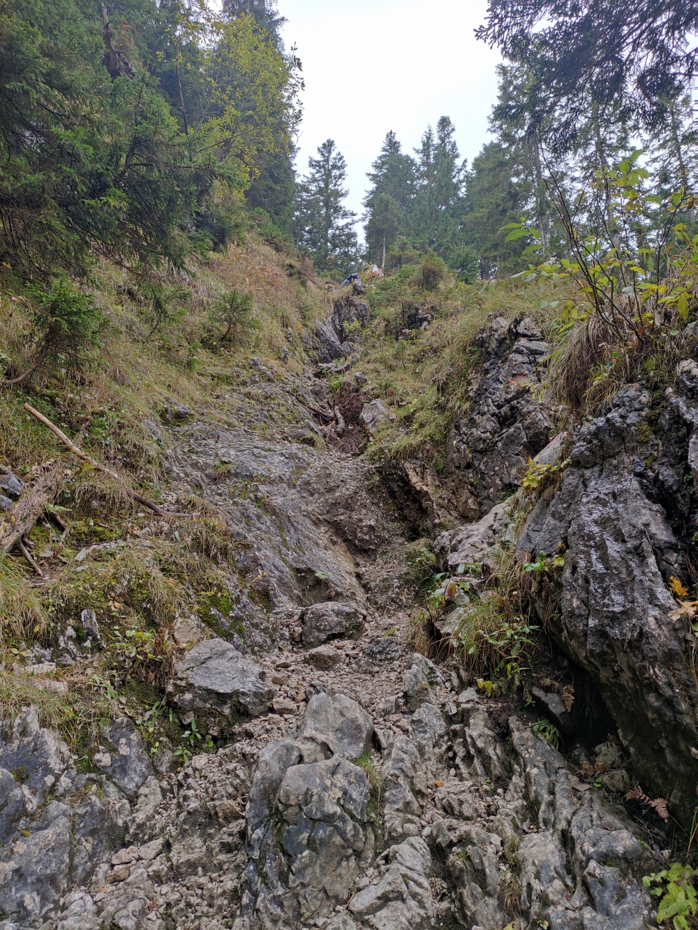 Wanderung Leonhardstein: Die oberen 30 Minuten