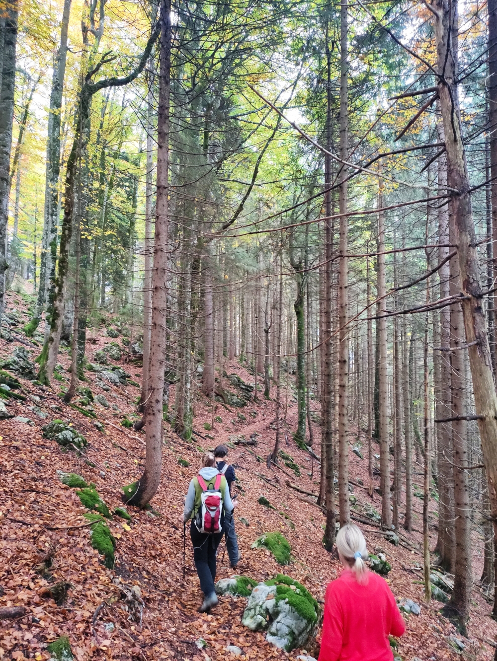 Wanderung Leonhardstein: Teilweise sehr schmaler alter Pfad zur Umrundung des Leonhardstein