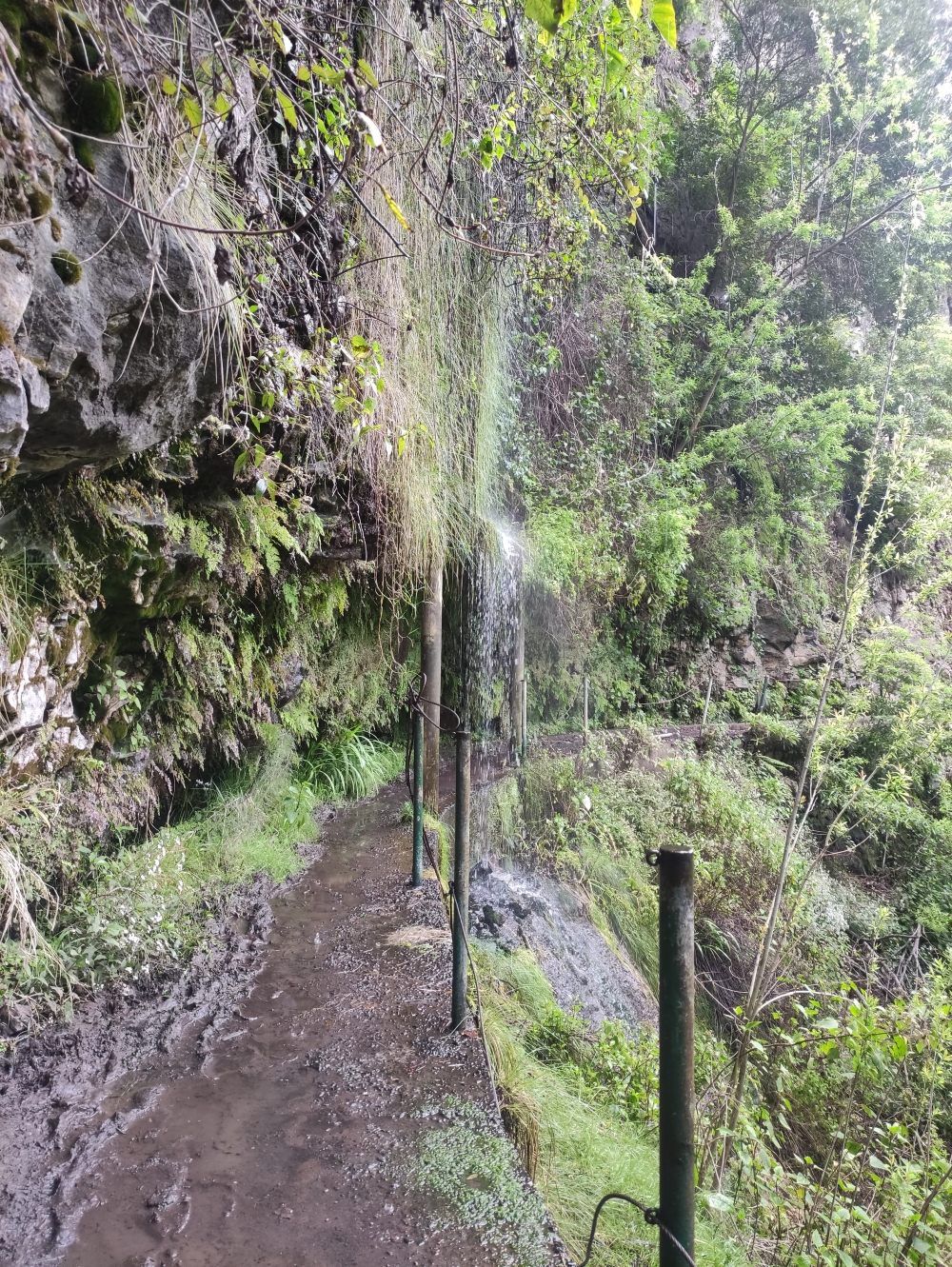 Wanderung Levada Nova: Wanderung Levada Nova: Feuchter Durchgang (Levada de Moinho)