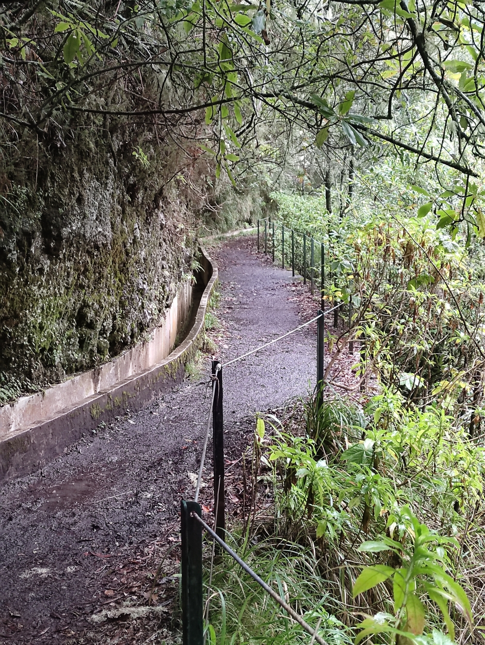 Wanderung PR10 Levada do Furado: Eine der ältesten öffentlichen Levadas der Insel