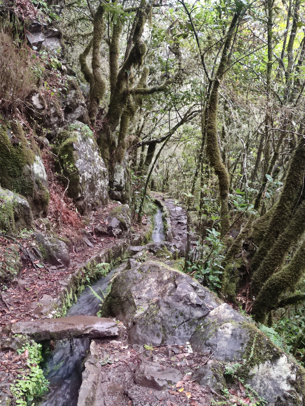 Wanderung PR10 Levada do Furado: Einer steilen Levada über den Berg folgend