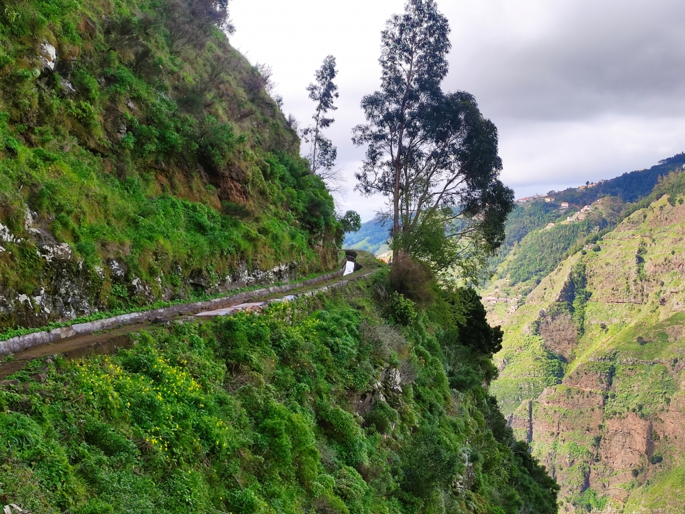 Wanderung Espigao: Wanderung Espigao: Levada do Norte