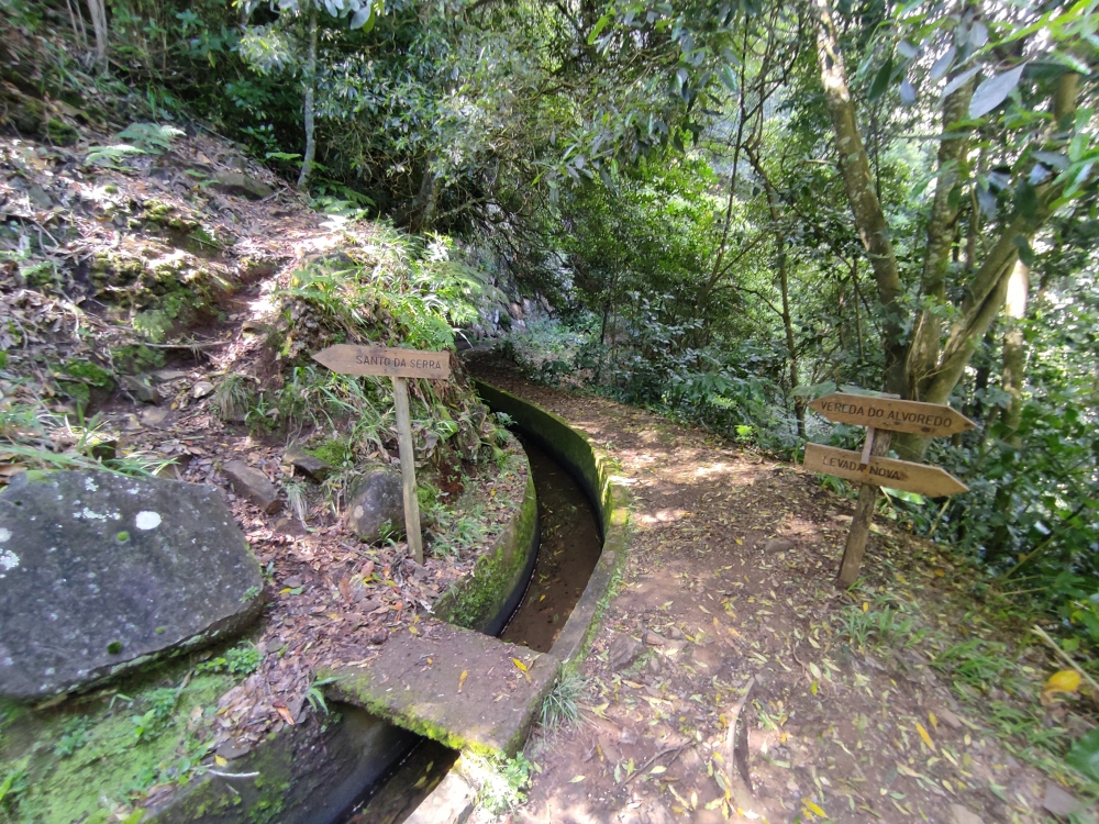 Wanderung Levada dos Tornos und Levada Nova: Hier rechts hinab