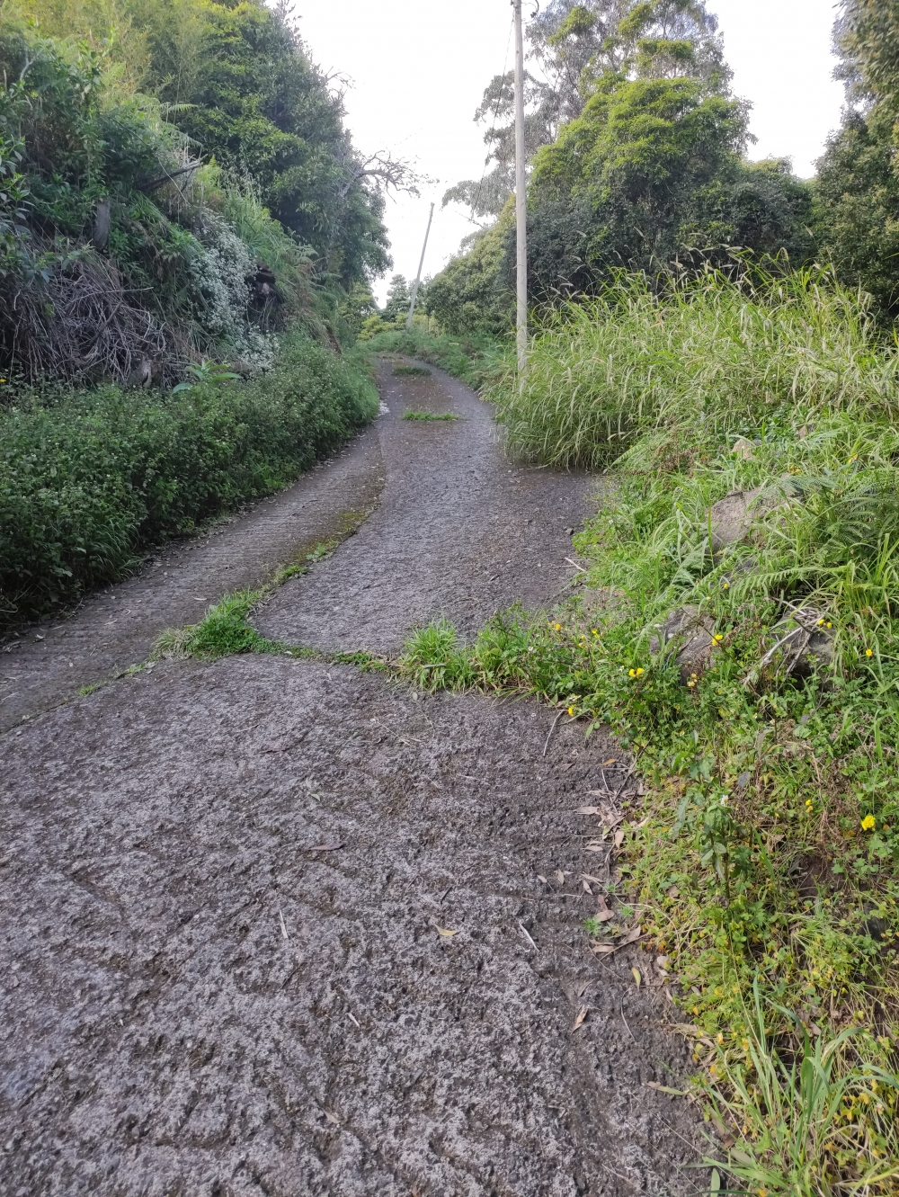 Wanderung Levada dos Tornos und Levada Nova: Steil bergauf