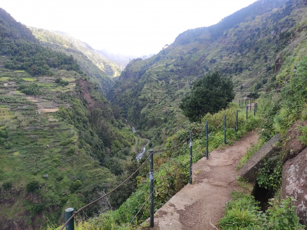 Wanderung Levada Nova: Levada de Moinho