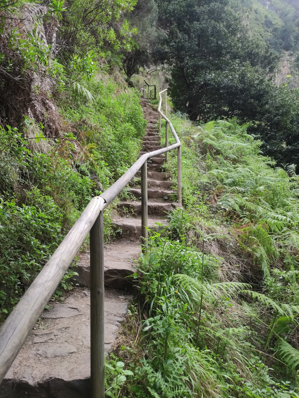 Wanderung Levada Nova: Aufstieg zur auf mittlerer Höhe liegenden Levada Nova