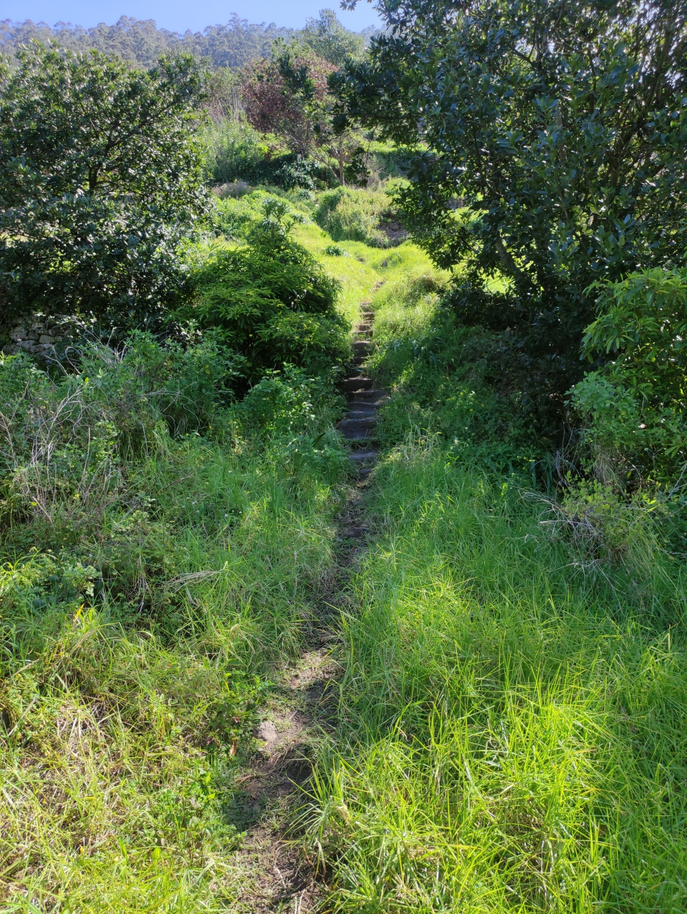 Wanderung Levada Nova: Aufstieg vom Miradouro zur höher gelegenen  Levada do Techo