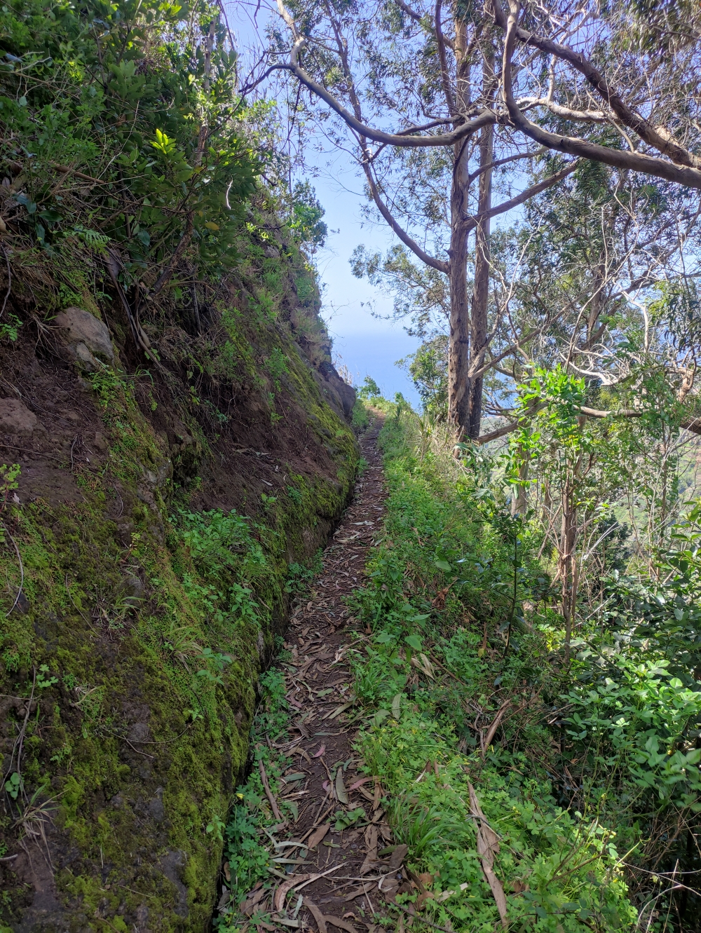 Wanderung Levada Nova: Die sehr verfallene Levada do Techo