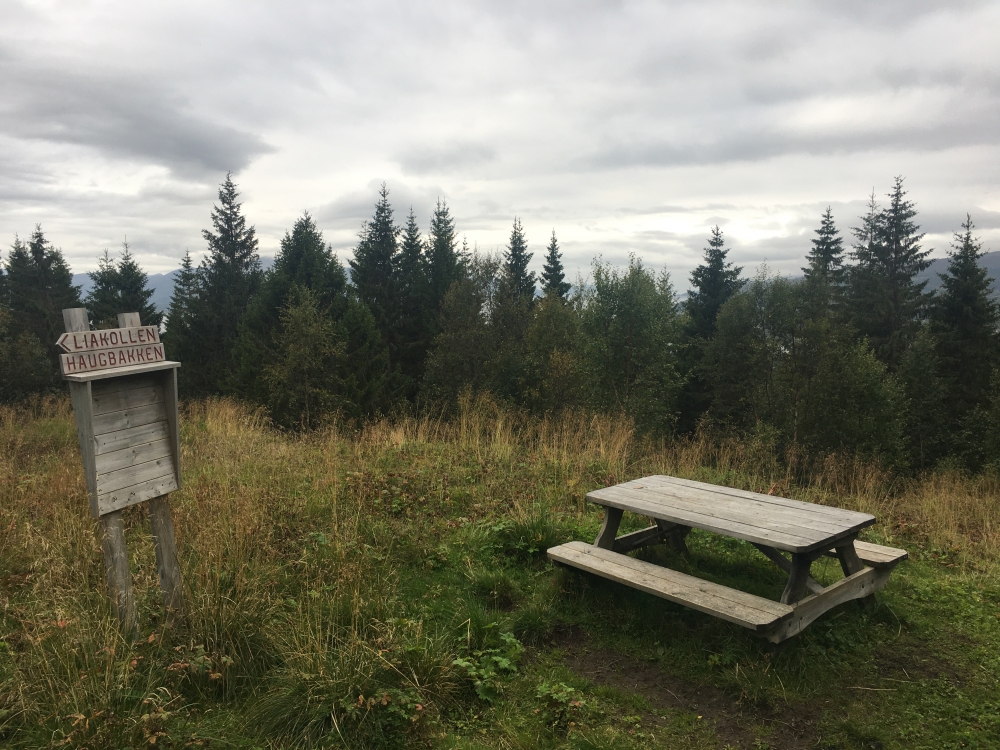 Wanderung Liakollen: Der Abstieg führt über Haugbakken