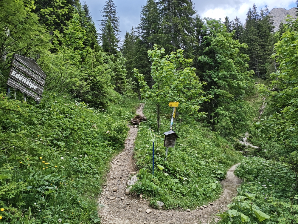 Wanderung Litnisschrofen: Links zur Edenalpe