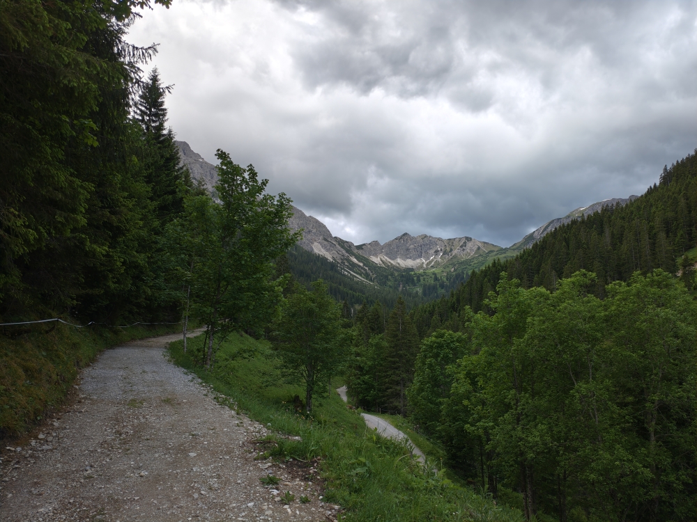 Wanderung Litnisschrofen: Forststraße im Mittelteil 
