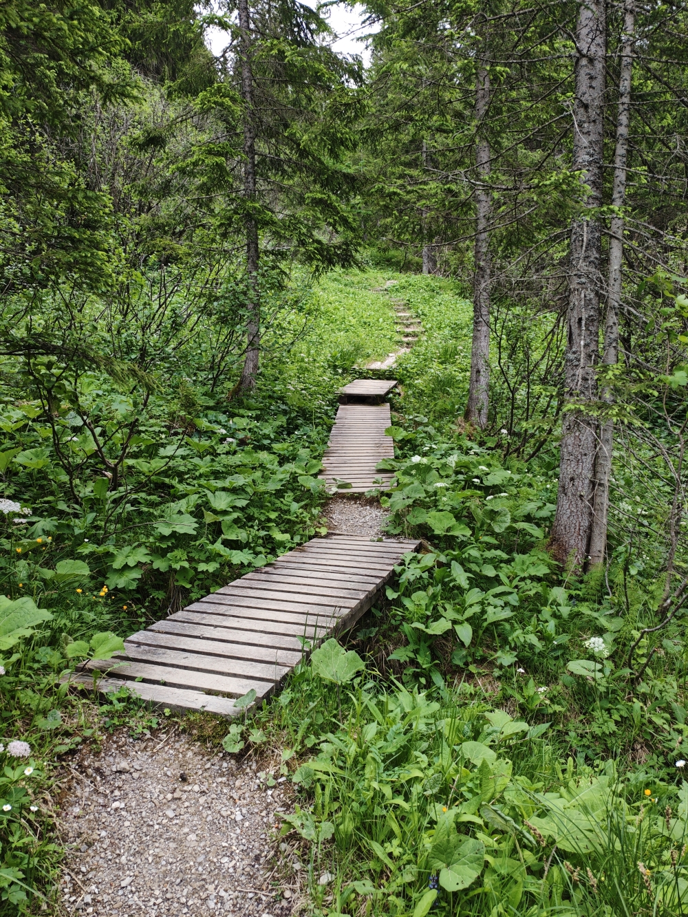 Wanderung Litnisschrofen: Weg