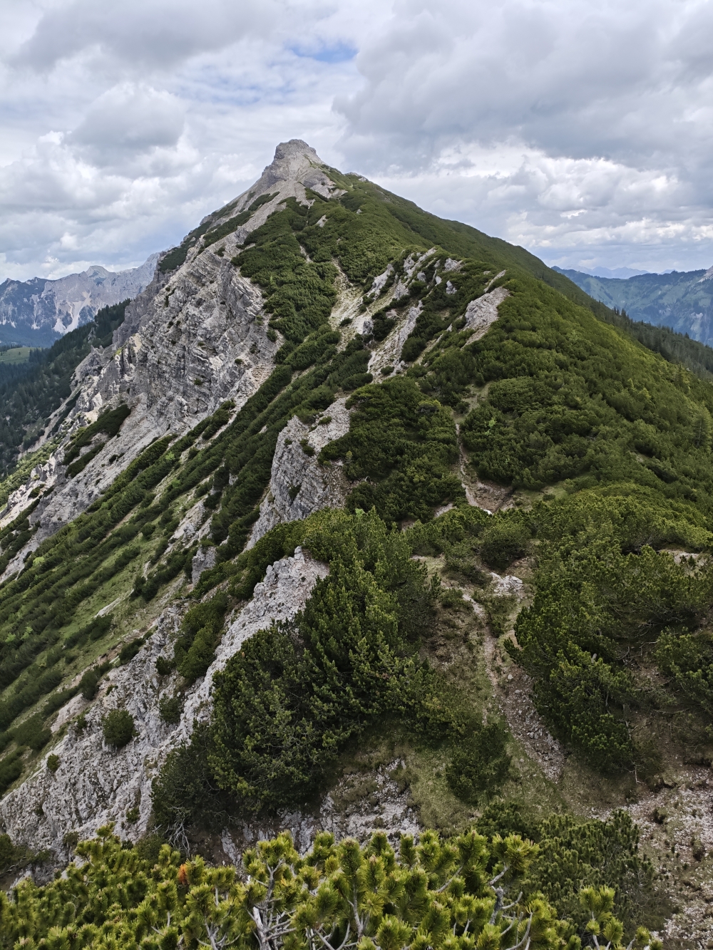 Wanderung Litnisschrofen: Obere Hälfte zwar ab und an ausgesetzt aber noch ohne Klettereinlage 