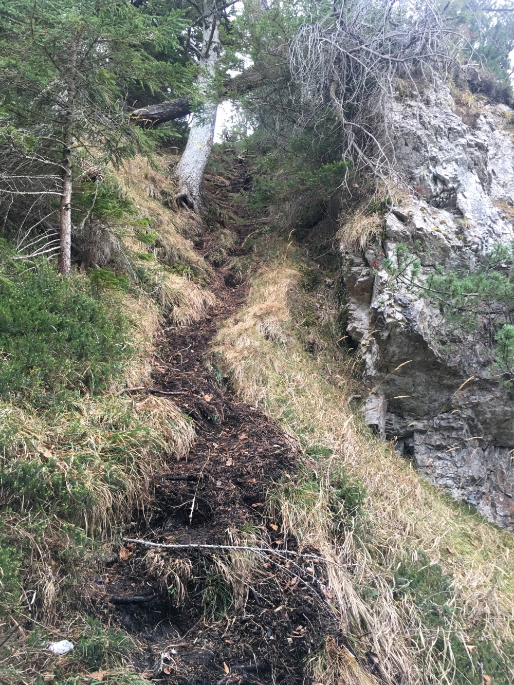 Wanderung Aibleck: Wanderung Aibleck: Nur die letzten Meter am Gipfel sind etwas steil und erdig