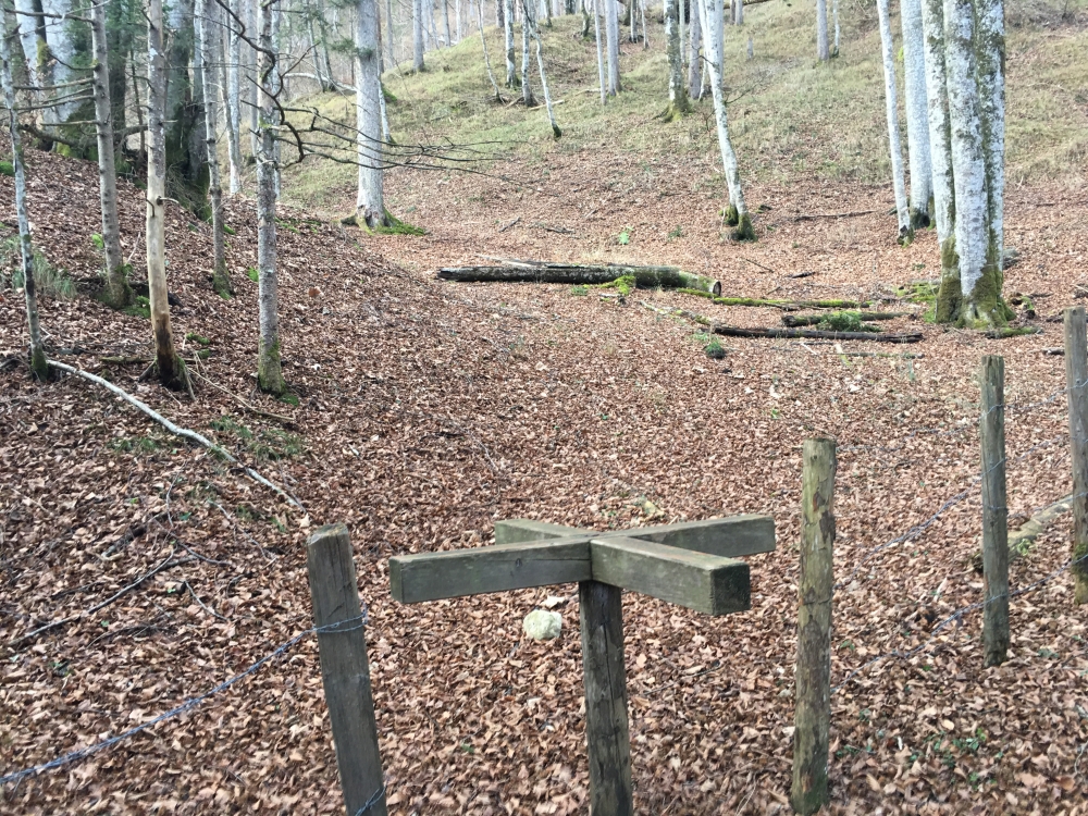 Wanderung Aibleck: Wanderung Aibleck: Zwischen Reiteralm und Aussichtspunkt
