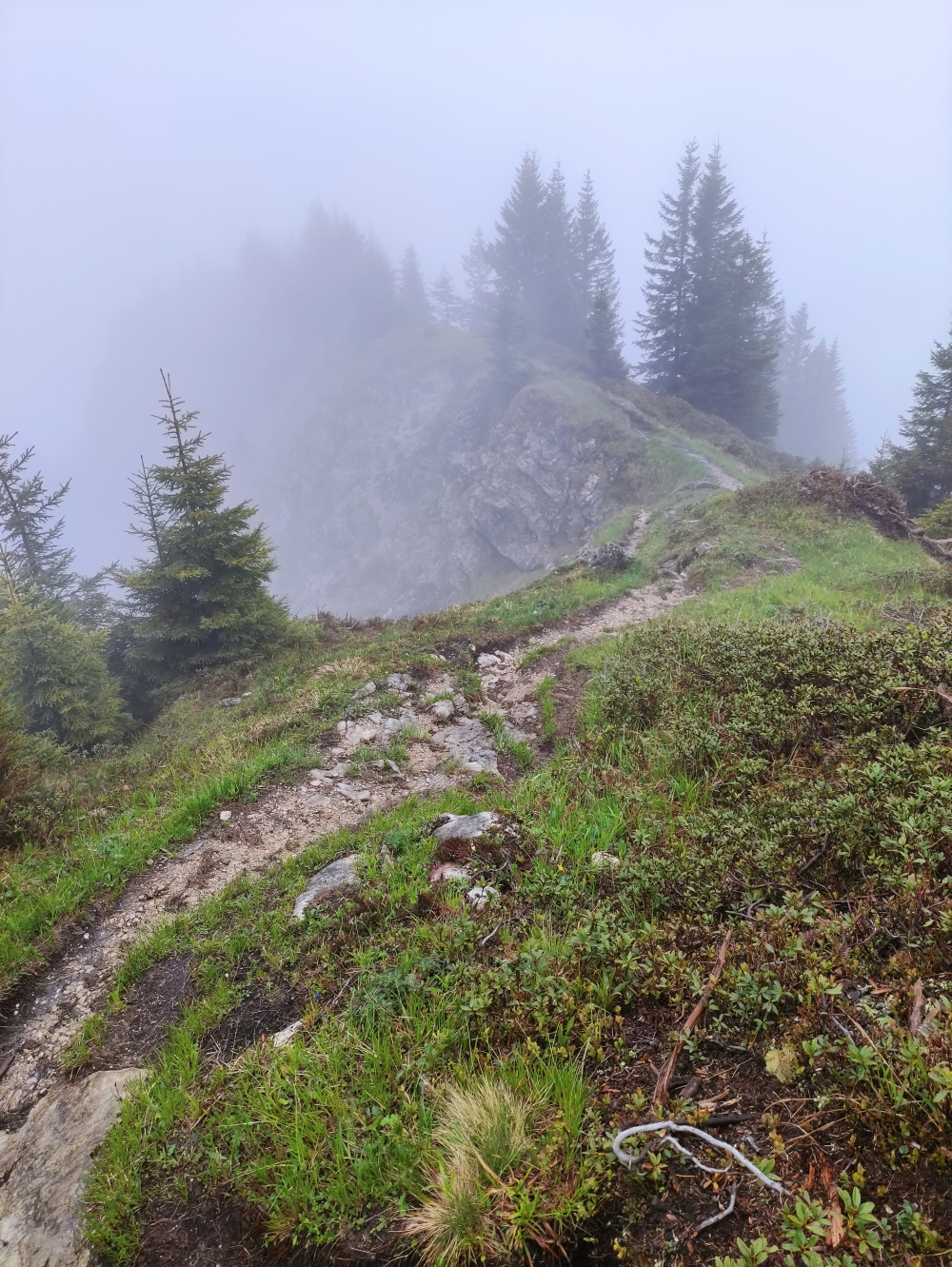 Wanderung Lösertalkopf: Abstieg vom Grupenkopfgipfel