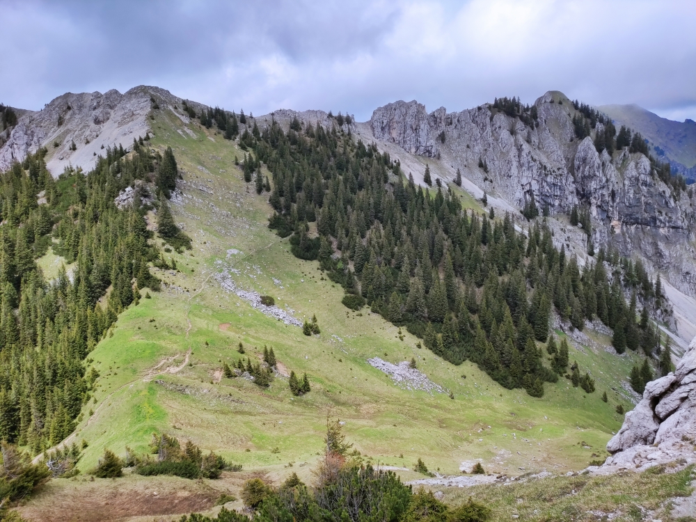Wanderung Lösertalkopf: Weg