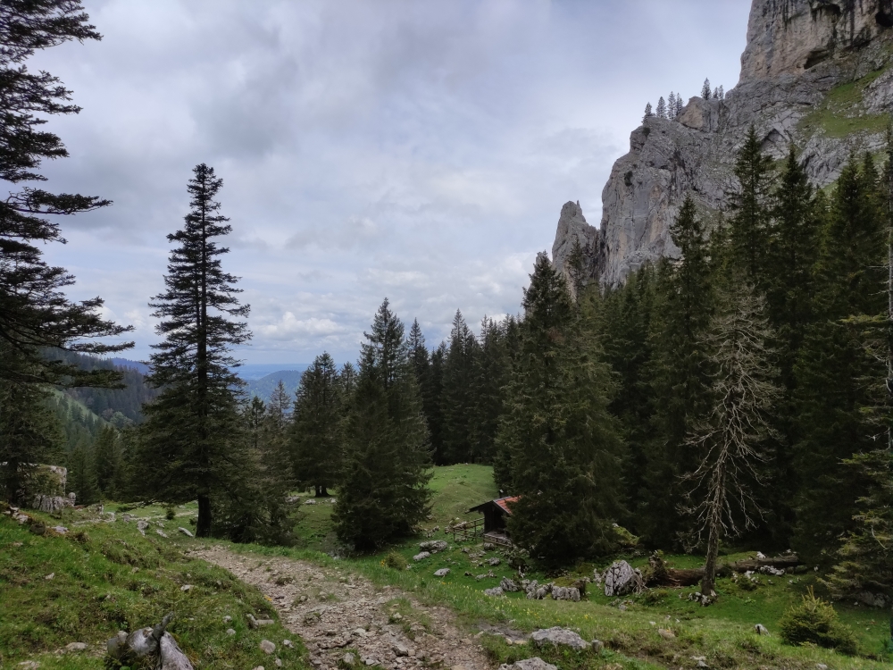 Wanderung Lösertalkopf: Weg