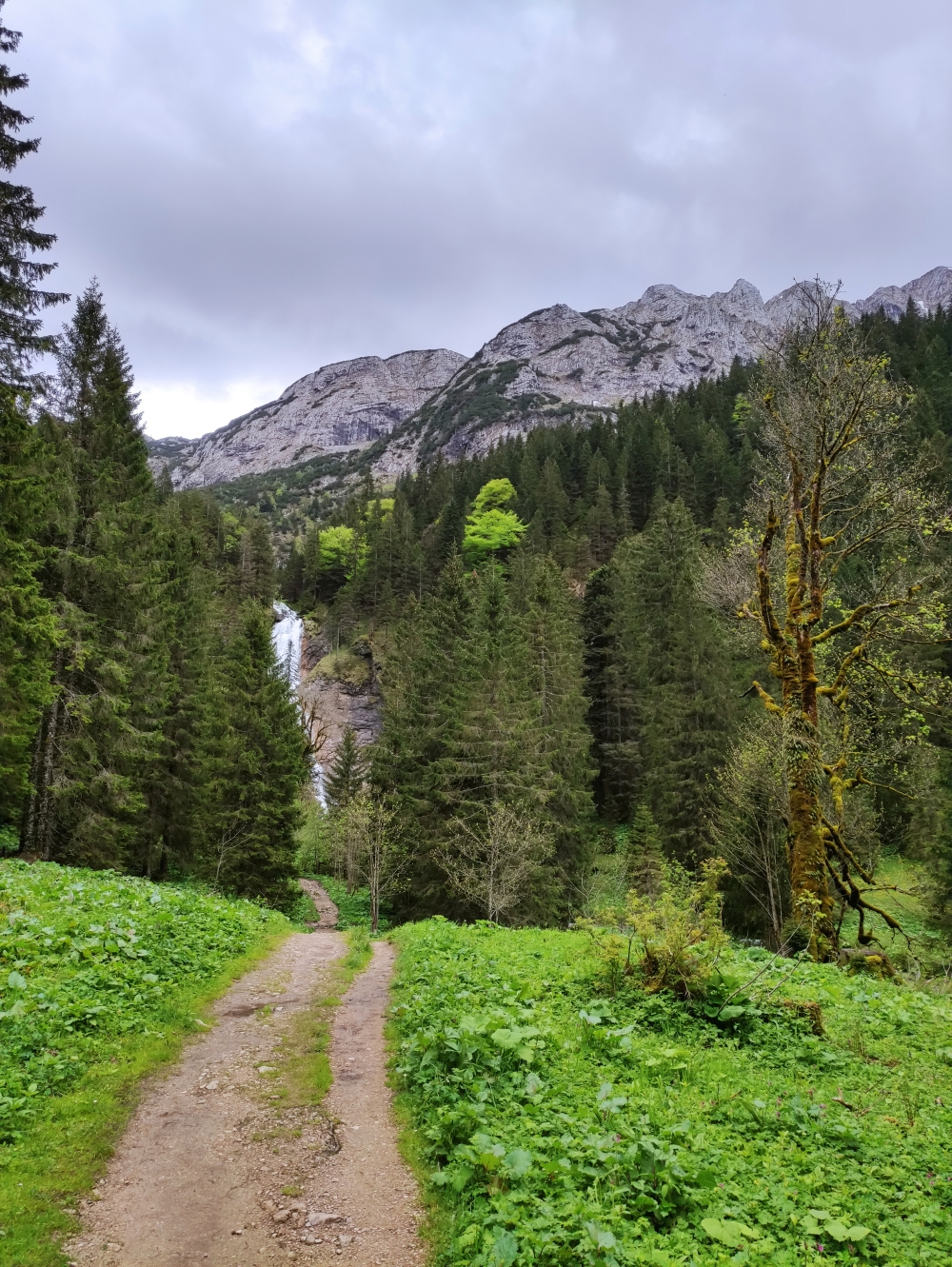 Wanderung Lösertalkopf: Abstecher zum Wasserfall