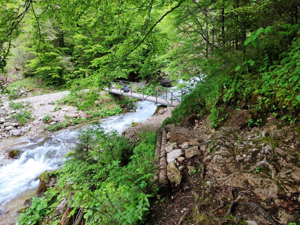 Wanderung Lösertalkopf: Fußweg statt Forststraße