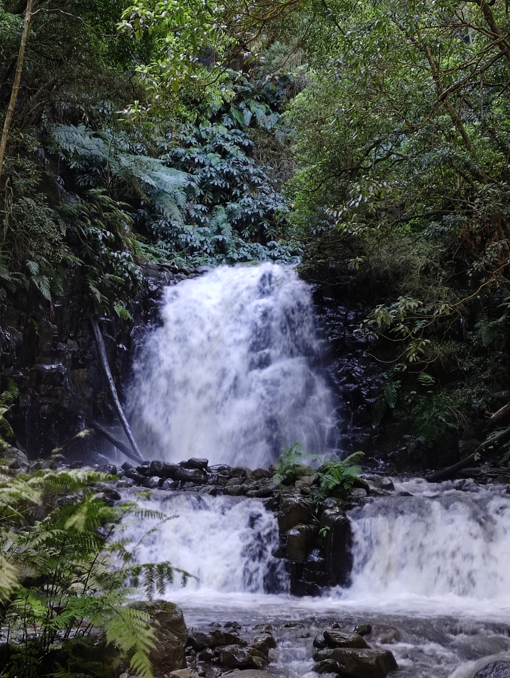 Wanderung Levada dos Tornos und Levada Nova: Wanderung Levada dos Tornos und Levada Nova: Wasserfall (Madre da Levada Nova)