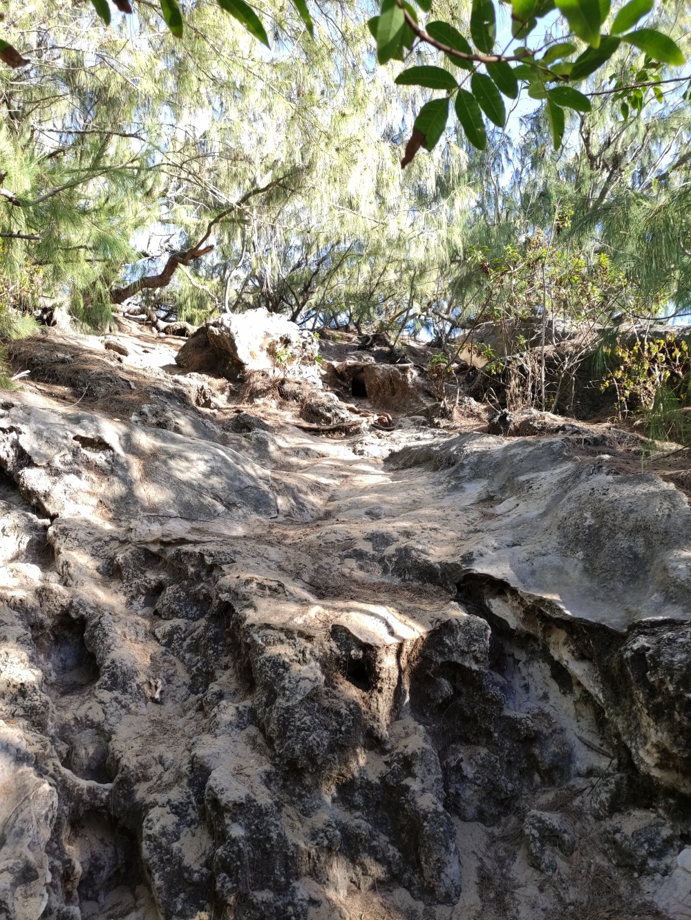 Wanderung Mahaulepo Heritage Trail: Ein kurzer Aufstieg